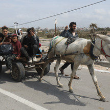 180324_gaza_naa_1_0016.jpg